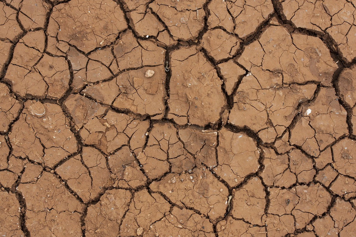 Réchauffement climatique : une course contre la montre pour éviter l'irréparable